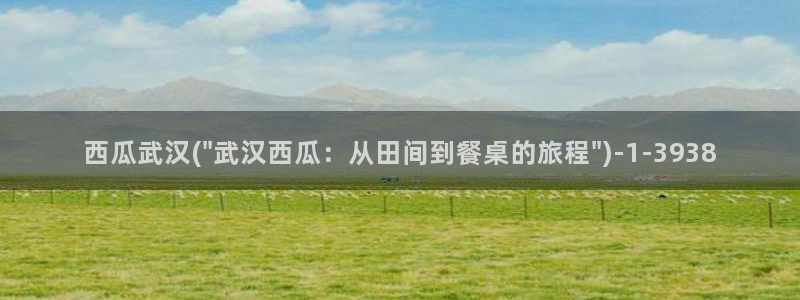 我的阿勒泰全集免费观看西瓜影院