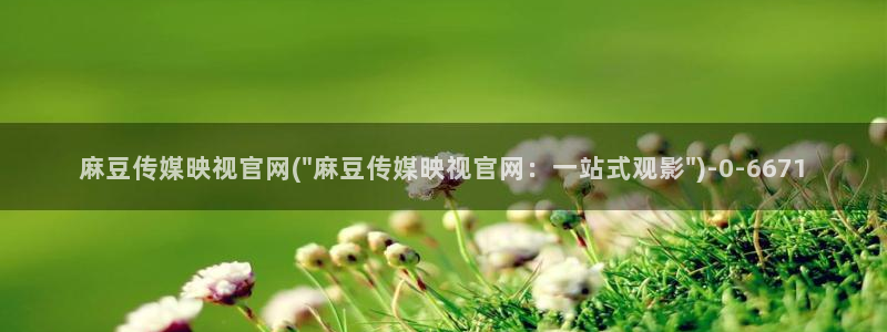 麻豆视频资源完整版：麻豆传媒映视官网(\