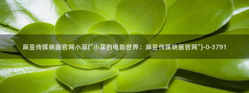 麻豆 精选推荐：麻豆传媒映画官网小菲(\