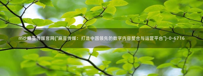 麻豆更新高清：md 麻豆传媒官网(\
