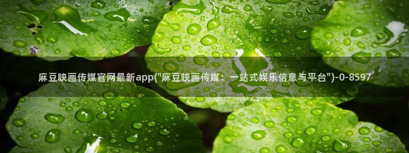 麻豆视频 官方更新：麻豆映画传媒官网最新app(\