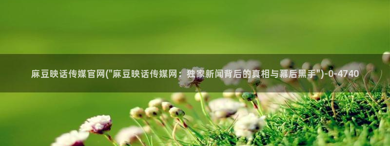 麻豆视频 热门在线看：麻豆映话传媒官网(\