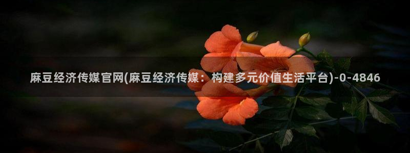 麻豆视频 更新入口：麻豆经济传媒官网(麻豆经济传媒：