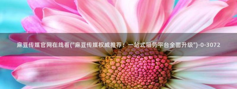 麻豆视频 短片导航：麻豆传媒官网在线看(\