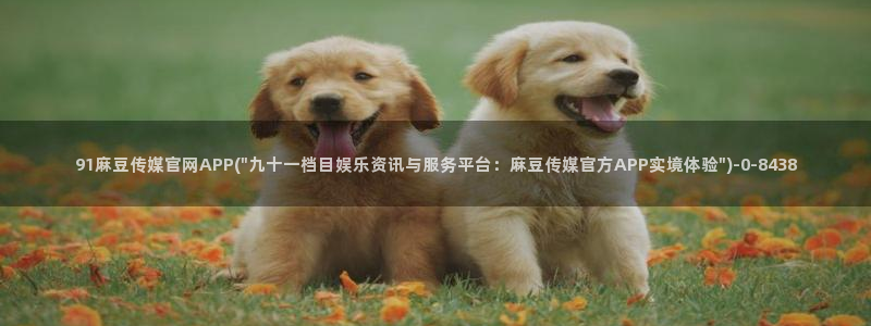 麻豆视频 下载页面：91麻豆传媒官网APP(\