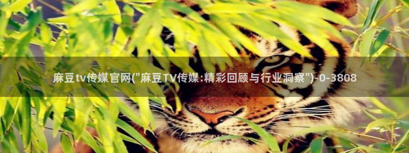 麻豆 精选视频：麻豆tv传媒官网(\