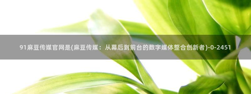 麻豆视频 合集最新：91麻豆传媒官网是(麻豆传媒：从幕后到前台的数字媒体整合创新者)