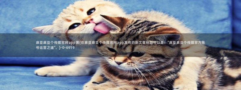麻豆精选：麻豆麻豆个传媒官网app黄(在麻豆麻豆个传媒官