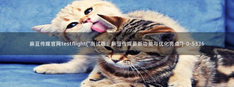 麻豆视频 更新高清：麻豆传媒官网testflight(\