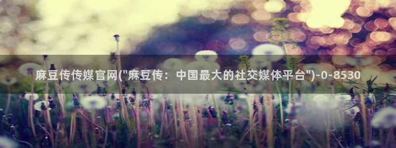 麻豆视频 更新：麻豆传传媒官网(\