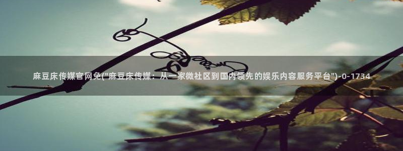 麻豆视频 图集合集：麻豆床传媒官网免(\