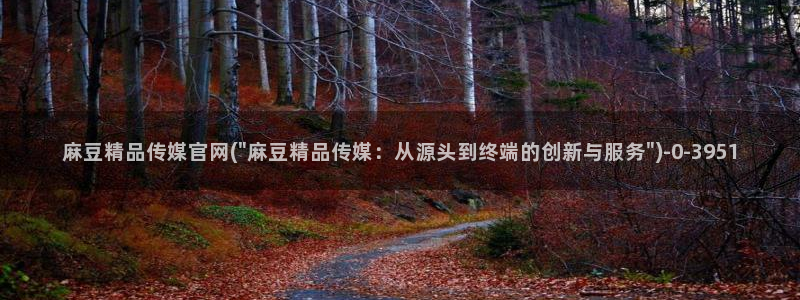 麻豆 高清在线看：麻豆精品传媒官网(\