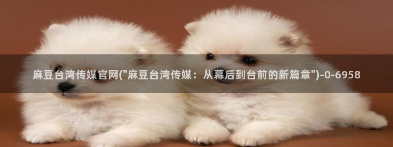 麻豆视频完整版推荐：麻豆台湾传媒官网(\
