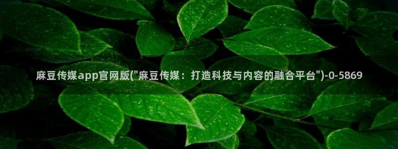 麻豆 入口导航：麻豆传媒app官网版(\
