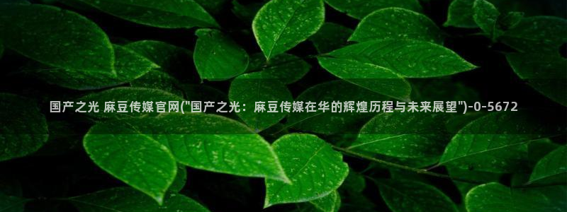 麻豆视频推荐合集：国产之光 麻豆传媒官网(\