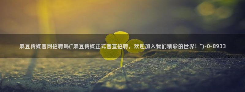麻豆最新导航：麻豆传媒官网招聘吗(\