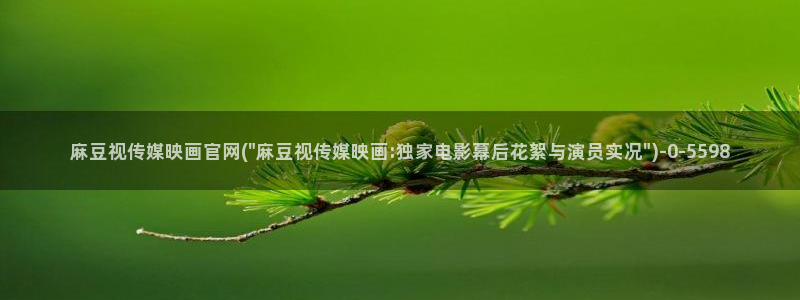 麻豆视频 推荐页面