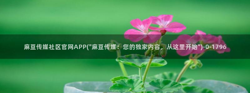 麻豆视频专区视频：麻豆传媒社区官网APP(\